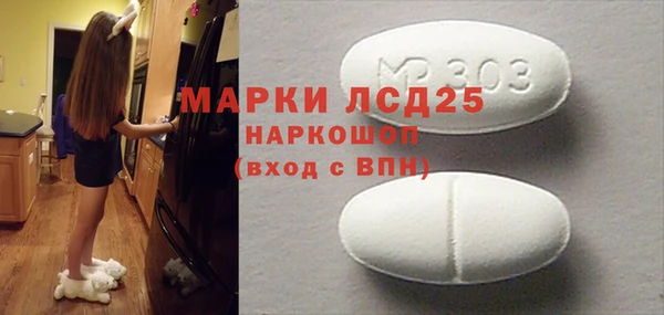 spice Алзамай