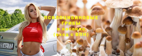 амф Абдулино