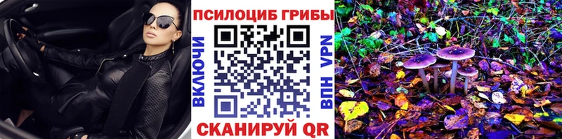 Псилоцибиновые грибы Magic Shrooms  kraken tor  Подольск 