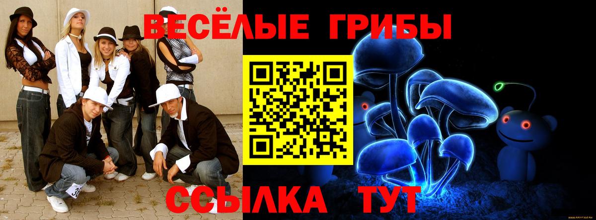 Галлюциногенные грибы Cubensis  купить  сайты  Подольск  Вход с VPN 